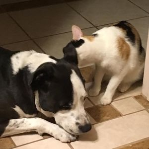 Meet your Posher, Becky